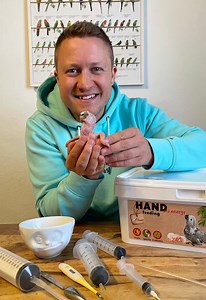 10K views · 161 reactions | My short guide on how to feed parrots...