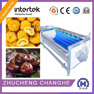 High Quality Fruit Vegetable Roller Washing Machine Potato Cleaning Peeling Machine