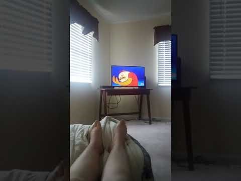 SpongeBob SquarePants Whale Watching