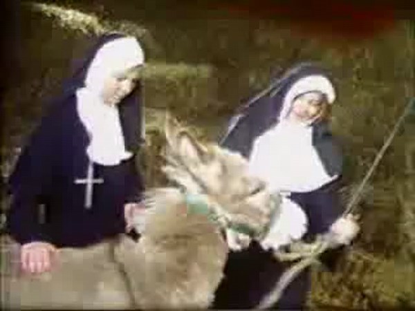 Pair of wild Nuns explore their first bestiality sex experience in this classic beast sex movie