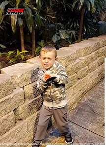 8.9K views · 98 reactions | Insect Encounters Gone Wrong  | Eddie Griffin | Facebook