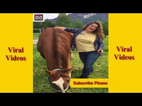 Hot Girl Making Love With Horse | WOW Animal Love Their Owner Very Much#AnimalFun