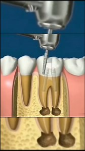 Electrical Engineering | Free Routine