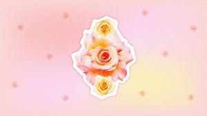 Is My Vagina Normal?