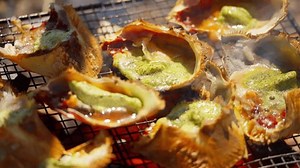 Des frais pour toute personne supplémentaire : vidéo de stock (100 % libre de droit) 3985212379 | Shutterstock