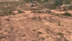 >>> The MOR team has traveled many places New Zealand, Australia,...