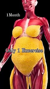 1M views · 5.5K reactions | Easy Abs Workout To Lose Belly Fat For Beginners #absworkout #losebellyfat #beginnerworkout #foryouシ | Doctor CC Fit | Facebook