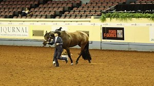 Check out some of the smooth manuevering skills that helped Tony Anderman and Solo Invested win Amateur Showmanship yesterday at #AQHAWorld2018, enabling him to win the Triple Crown of titles at the NSBA World Show, Quarter Horse Congress, and now AQHA World Show this year. Click here to see what Tony had to say in his EC interview. http://www.equinechronicle.com/the-boys-club-dominates-amateur-showmanship-at-aqha-world-show/ Check out more fun video clips and video interviews on our new website