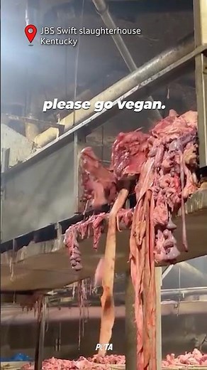 Inside a Slaughterhouse: THIS is what you support when you eat meat