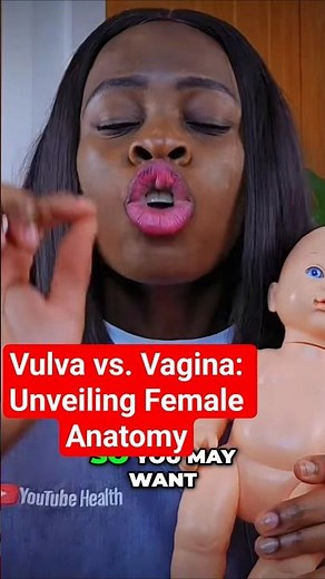 Vulva vs. Vagina: Unveiling Female Anatomy