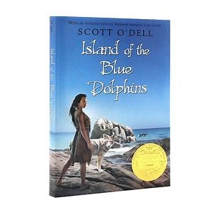 [Hot Item] Engaging Baby Picture Book for Developmental Learning Experiences