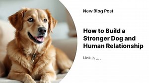 2.2K views | Strong dog-human relationships require understanding...
