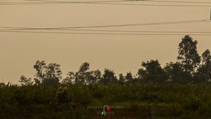 depression & obsession Xxxtentacion ♡ | Frases Depressed