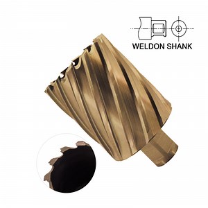 [Hot Item] HSS Cobalt Annular Broach Cutter with Weldon Shank for Metal Cutting