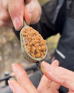 4.9K views · 155 reactions | ➡️ 헗헢험헦 헜헧 헗헢 헪헛헔헧 헜헧 헦헔헬헦 헢헡 헧헛험 헧헜헡?...