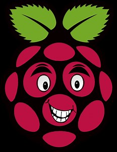 Install Arduino IDE on Raspberry Pi