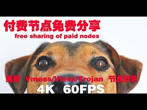 free sharing of paid nodes #61 (2021) | v2ray Fast free node | CC subtitles | top | 4K 60FPS | vmess