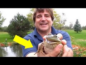 11 Minutes Of Screaming Frogs Compilation 🐸 Frogs Are Funny 2020 🐸