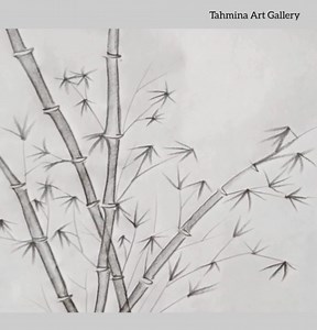 1.7K views · 20 reactions | [ বাঁশ ] Bamboo tree drawing - step by step #art #pencildrawing | Tahmina Art Gallery | Facebook