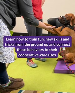 2.1K views · 97 reactions | “Face in Things” is a great trick...