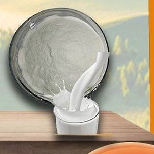 [Hot Item] Premium Calcium Fortifier for Enhanced Nutrition in Food