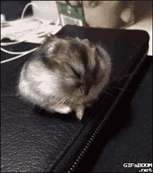 Us this morning: | Howstuffworks