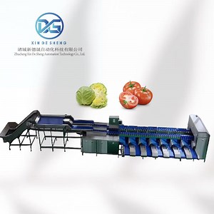 [Hot Item] Dual-Channel Vegetable Sorting Machine, Grading Cabbage by Weight and Size