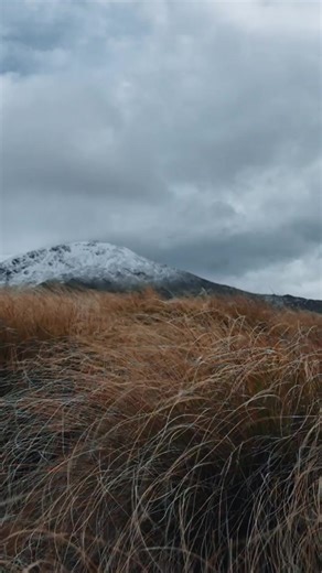 2.8K views · 51 reactions | THIS WEEK Saturday, 9 March, on The...