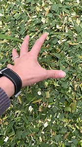 1.5M views · 9K reactions | Ideal for 100-head cattle scale, 6000 kg/h continuous processing.#machinery #chaffcutter #farmer #dawnagro | Dawn Agro Manufacturer | Facebook