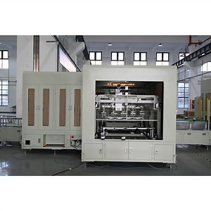 [Hot Item] Ess Prismatic Lithium Battery Pack Production Line Battery Assembly Line