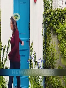 132K views · 3.5K reactions | Ang Guro sa Musika at ang Kanyang Nawawalang Anak | Hewan Populers | Facebook