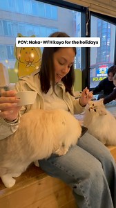 Which Klooker working from home are you? 🤭 We hope everyone is making it through the final stretch of the year and looking forward to some well-deserved rest this Christmas! 🎄 #KlookPH #YourWorldOfJoy #LifeAtKlookPH #Christmas #WFH | Klook