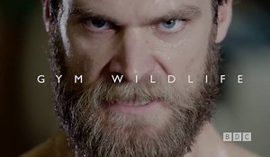 GYM WILDLIFE --> Watch the full video http://bit.ly/1SjC1rj Be sure to LIKE our page and Stay Buff! 💪💪 | Buff Dudes