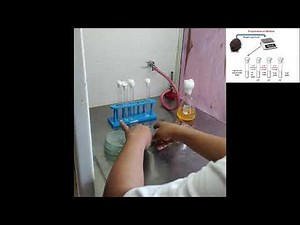 Isolation of Bacteria from Soil