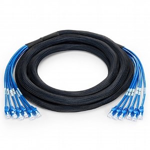 [Hot Item] Kexint 3m (10FT) 6 Plug to 6 Plug Cat5e PVC Trunk Cable