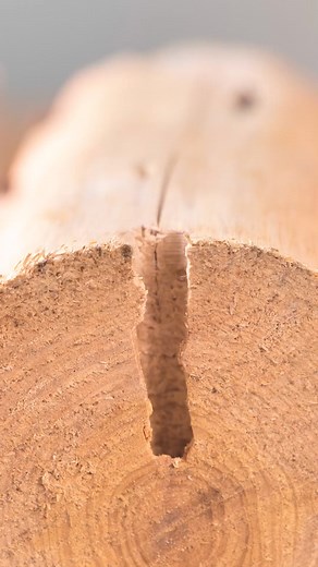 538K views · 2.4K reactions | Genius Garage Organization Hacks | 5-Minute Crafts UK | Facebook