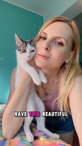 3K views · 301 reactions | This is my morning routine with the cats that I have now in my care  #cats #adopt #foster #loryscats | Lory's Cats | Facebook