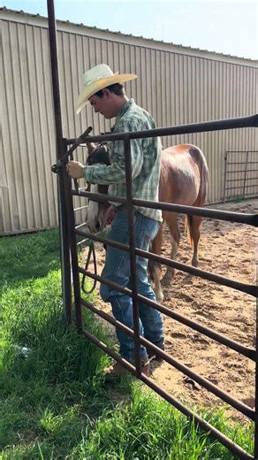 Unsaddling Beau with no issues and fixing to ride bareback.