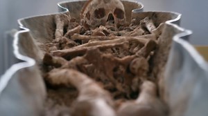 During restoration work after the devastating 2019 fire at Notre Dame de Paris, two lead sarcophaguses were discovered under the cathedral's stone floor. Follow a team of archaeologists and historians as they attempt to solve centuries-old mysteries using the latest scientific investigation techniques. What can DNA and chemical analysis of the remains reveal about the history of Notre Dame and those who devoted their lives to it? Watch NOVA l PBS Lost Tombs of Notre Dame Wednesday at 8pm and str