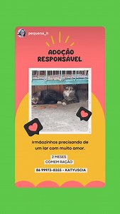 Apipa on Reels | Facebook