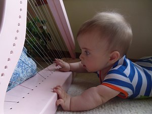 alternative materials harps