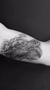 T Managed to cover up some old script with this black and grey turtle Inner bicep tattoo , the skin is very angry. Can’t wait to see this healed Placement: Arm ⚡ Pain Level: 8 (May differ) ⚡ Style: Black and grey ⚡️ Duration: 6 Hours . ⚡ Done by @theunisawhetattoos187 . ⚡To make a booking contact the studio on⚡ 072 248 0092 . . #tattoo #tattoos #ink #inked #art #tattooart #tattooartist #benonitattoostudio #blackandgrey | Awhe Tattoo & Lifestyle studio | Facebook