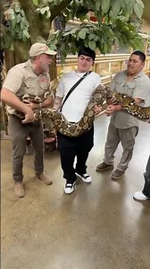 Got the whole crew here to help me handle this python!🐍