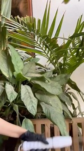 24 reactions | Raintree Spa is your one-stop sanctuary for relaxation...