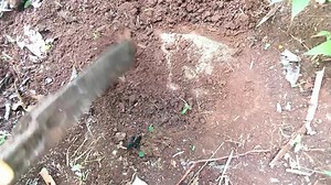 Treasure hunting discover codes and sign symbol markings | JMD Compass