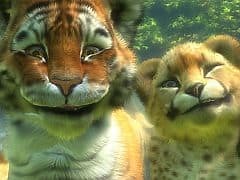 Kinectimals Review - VideoGamer