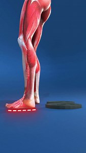 17K views · 1.8K reactions | One Small Change = Big Muscle Shift ...