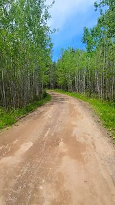 New Listing!! 3742 Novak Lane in Florence, WI $349,900 • 20 acres • Private Pond • Built in 2018 with tons of cool features • 1 bed, loft area could be turned into 2 additional bedrooms easily • 2 full baths - one off master includes walk in tiled shower and heated floors! • Hot Tub room with Hot tub included • First floor laundry (washer and dryer included) • Large living room with fireplace and tons of windows *seller is doing a $3,000 allowance for upstairs flooring* Message me for a showing 