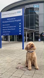 Our Volunteer, Effie has some advice for those living with long term conditions like arthritis, high blood pressure and asthma. Damp and cold weather can aggravate existing health problems and make us more vulnerable to winter illnesses. Here is how you can stay winter well ... #dogvideos #education #NHS #NHS111 #selfcare #blackpool #shortsvideos #shorts #doglover #dogsofinstagram #dogoftheday #dogs #cockapoo #Effie #arthritis #highbloodpressure #asthma | Blackpool Teaching Hospitals NHS Foundat