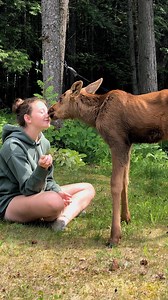 Family brings baby moose twins into their house to save their lives 😍😍 | The Dodo